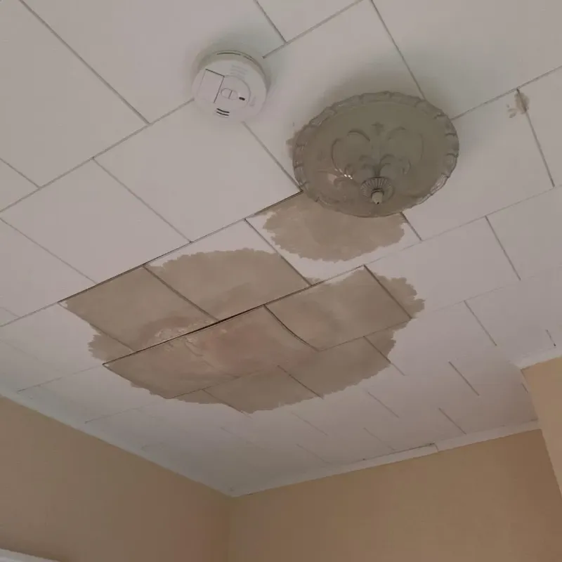 Ceiling Water Damage Repair in Dublin, CA